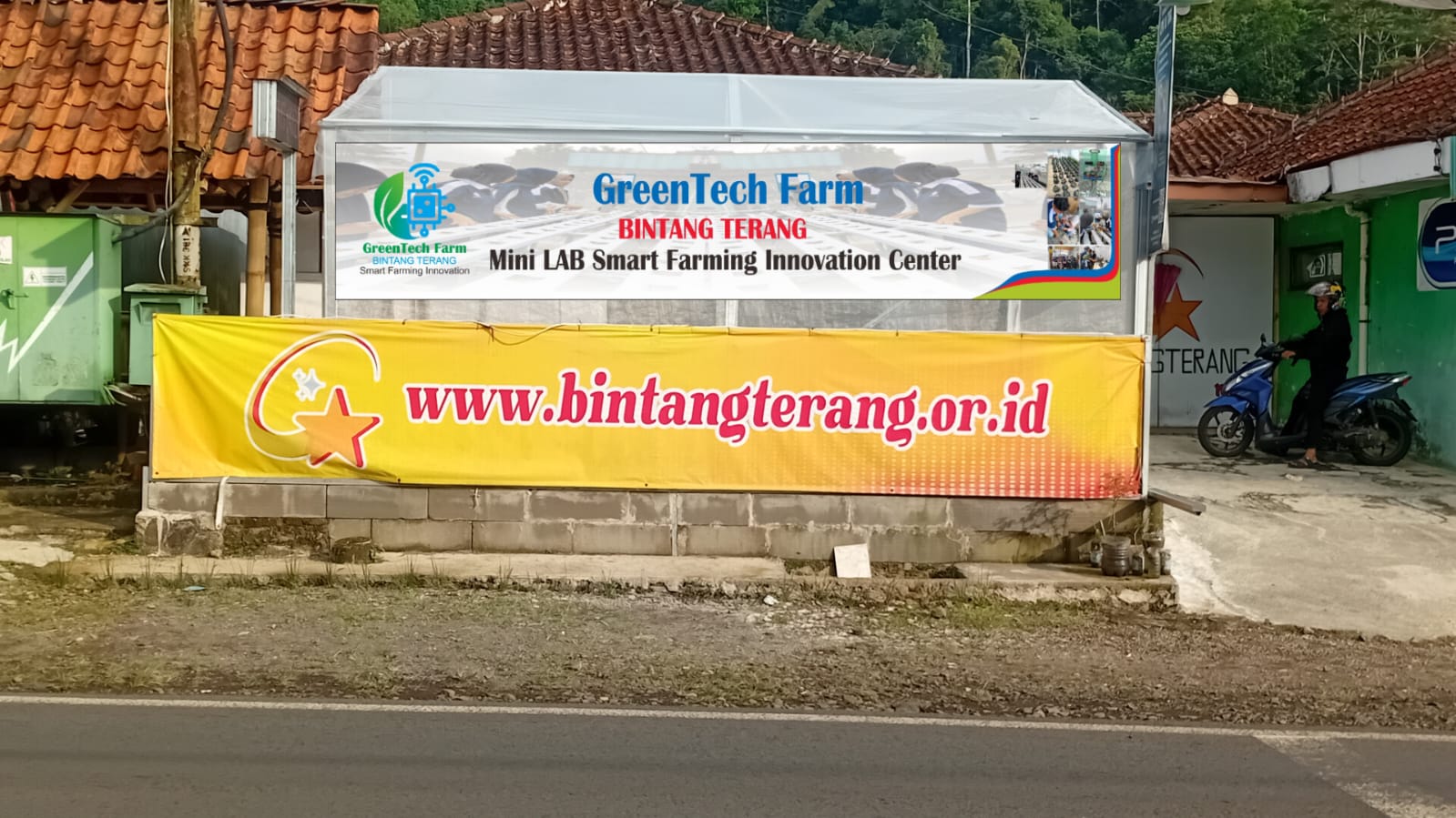 Foto Tanaman