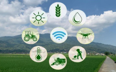 IoT di Indonesia: Dari Smart City ke Smart Farm — Tren, Tantangan, dan Prospek 2025