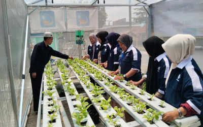 Kunjungan Mentor GreenHouse